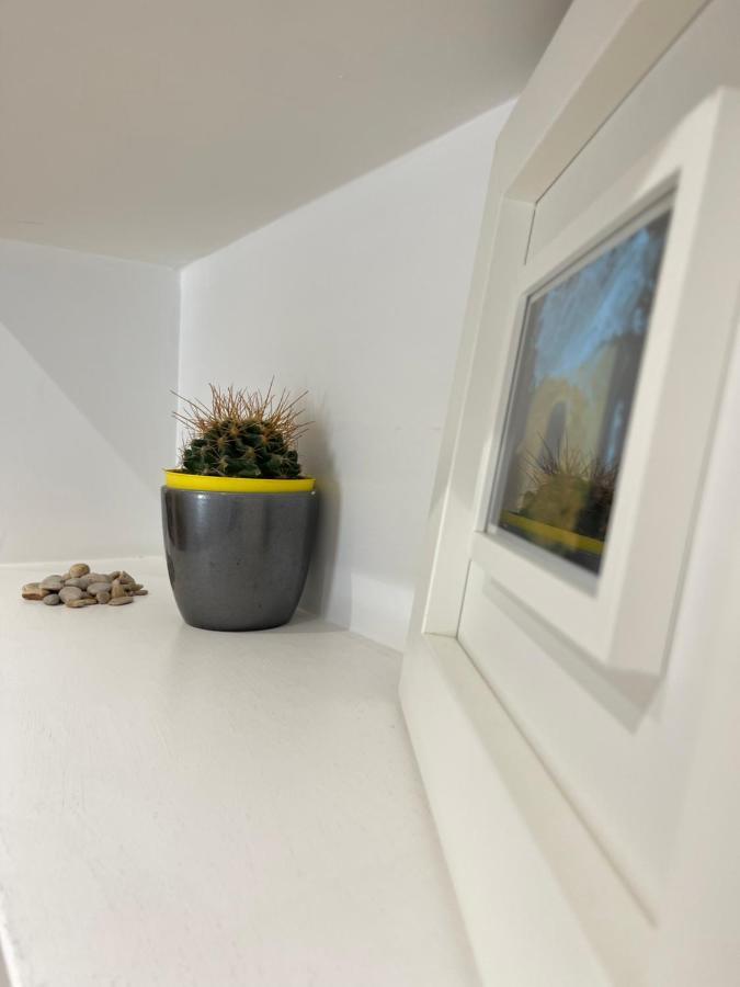 Green Home Рим Екстериор снимка